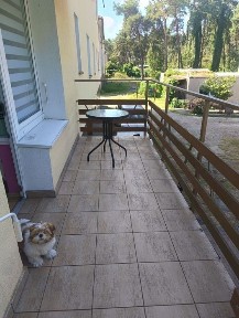 Sprzedam duże mieszkanie 3-pokojowe w Dąbiu przy ulicy Słupskiej