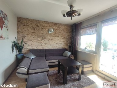 Zawadzkiego-Klonowica, Zachód, Szczecin, zachodniopomorskie