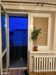 2 pokoje w Centrum, blisko jeziora i stacji Pkp