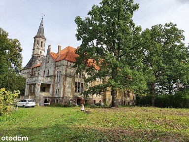 PAŁAC w Debrznie Wsi