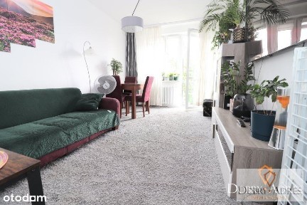 3 pokoje, balkon, piwnica