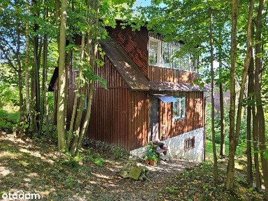 Domek typu skandynawskiego - Stróża - 75 m²