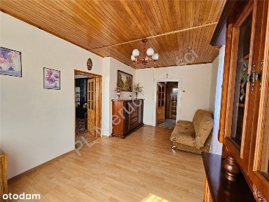 Zadbane siedlisko w dobrej lokalizacji !