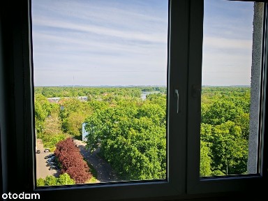 Dzielna- Kawalerka z Pięknym Widokiem