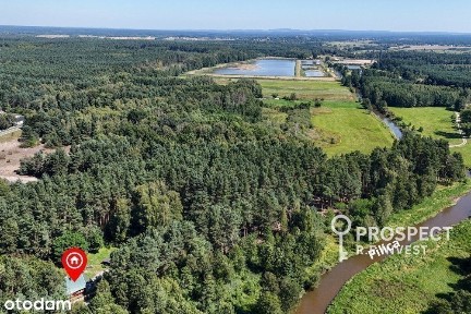 Dom, własny kawałek lasu, blisko rzeki, Pukarzów