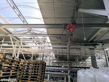 Tworzeń, Gołonóg Wschodni, Dąbrowa Górnicza, śląskie