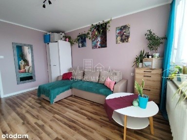 Głogów, głogowski, dolnośląskie