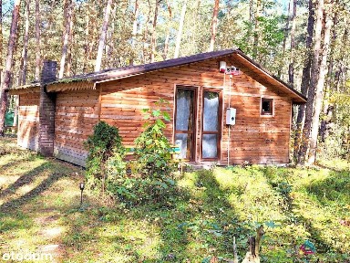 Domek letniskowy w lesie Zawady gmina Popów