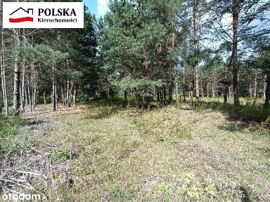 Silno, Obrowo, toruński, kujawsko-pomorskie