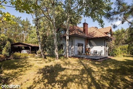 Dom wolnostojący, taras, starodrzew