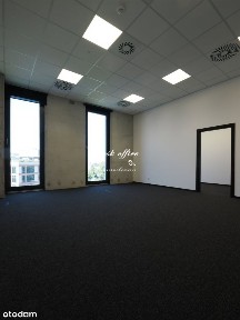 Lokal na wynajem, Wrocław
