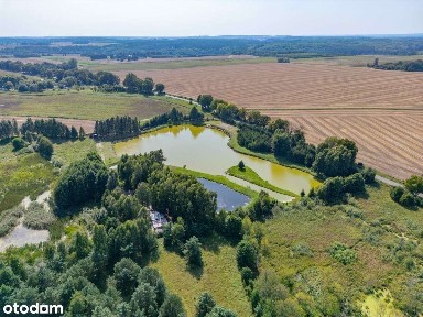 Na sprzedaż dom 90 m2 ze stawami i dużą działką - Trudna, ok. Złotowa