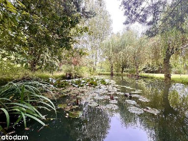 Spała-dom z własnym stawem położony w otoczeniu zieleni i ciszy. Bez %