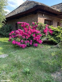 Atrakcyjna posiadłość Doliny Baryczy