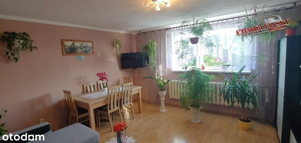 Mieszkanie 3 pokoje z garażem i ogródkiem - Kusice