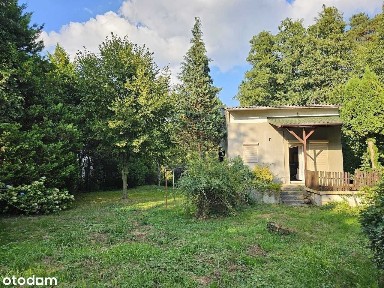 Czechowice-Dziedzice, bielski, śląskie