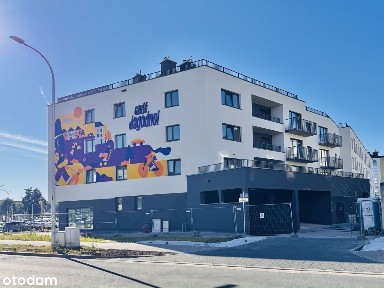 Układowe mieszkanie od Dewelopera | Jagodno