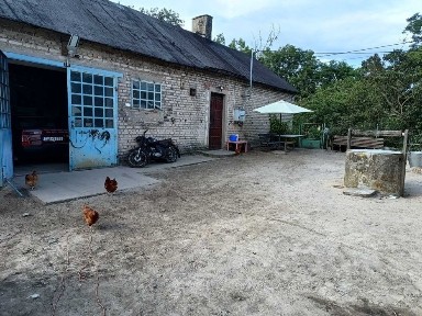 Siedlisko z działką rolną 1ha ze stawem i drzewami owocowymi