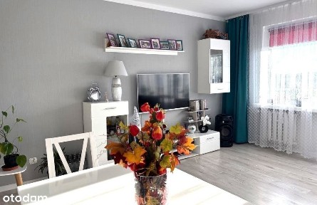 Gryfino, gryfiński, zachodniopomorskie