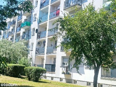 Słoneczna kawalerka pod Wieżą Ciśnień