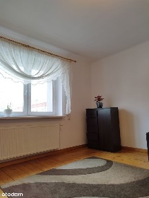 W dzień otwarty walentynkowa promocja