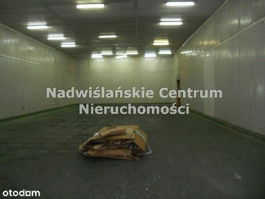 chłodnia hala magazynowa rampa przeladunek