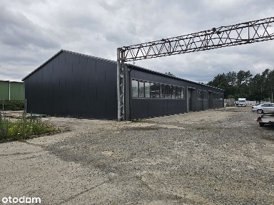 Stary Kisielin, Zielona Góra, lubuskie