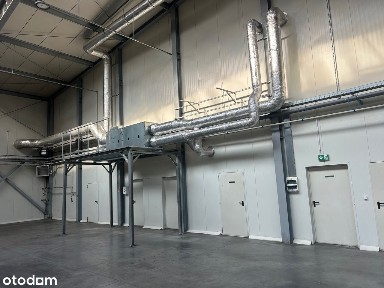 Lubicz Dolny, Lubicz, toruński, kujawsko-pomorskie