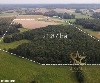 Siedlisko Zielony Gaj 21,87ha