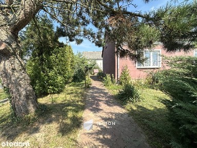 Dom z dużą działką i budynkami gospodarczymi