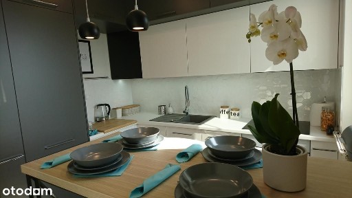 ul. Botaniczna, Centrum, Białystok, podlaskie