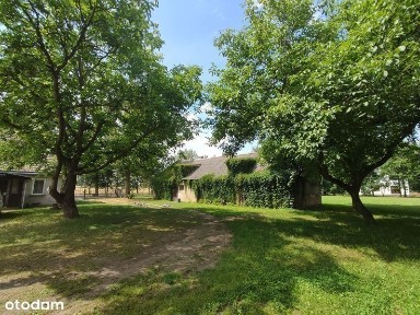 Wynajmę dom w spokojnej okolicy wieś Budziszewko