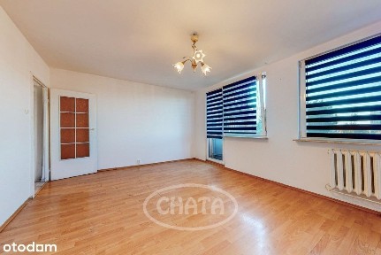 Strzegomska/Balkon/Rozkład/Winda/Media Miejskie