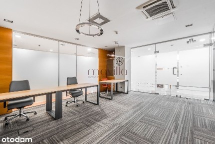 ul. Zwycięzców, Saska Kępa, Praga-Południe, Warszawa, mazowieckie