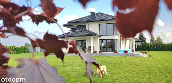 Komfortowa WILLA/DOM na obrzeżach RYPINA / Działka 38 arów.!