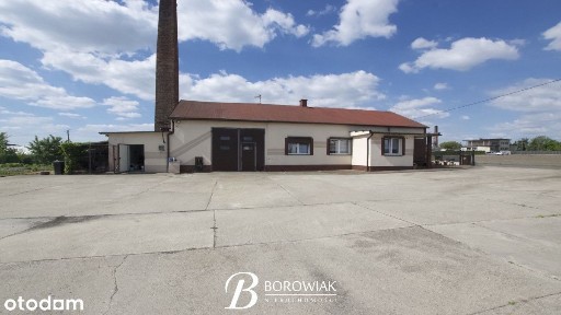 Dom z dużą działką - Pólko