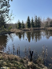 Sędzisław, Marciszów, kamiennogórski, dolnośląskie