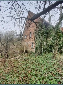 Dolnośląskie, Pastewnik