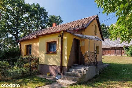 WOLNOSTOJĄCY 3M|duży ogródlasstodołapiwnicaparking|TYLKO U NAS