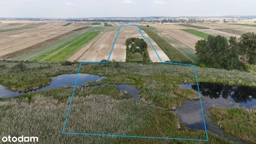 Siedlisko z własnym jeziorem - Zakrzew, Targowisko-Kolonia-6,11 ha