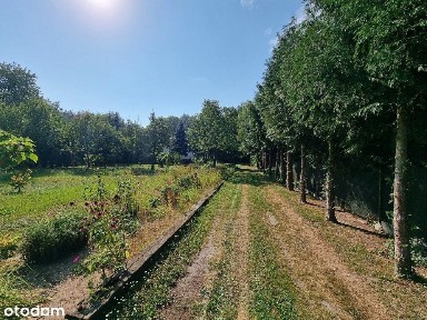 Dom 83 m2 | dz. 45 ar | ul. Kłosowskiego obok las