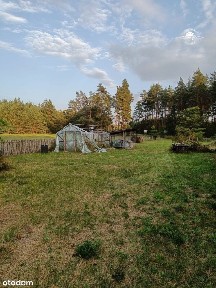 Duży dom i siedlisko | gm. Narew | 289tys !