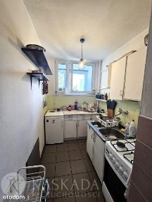 ul. Brazylijska, Saska Kępa, Praga-Południe, Warszawa, mazowieckie