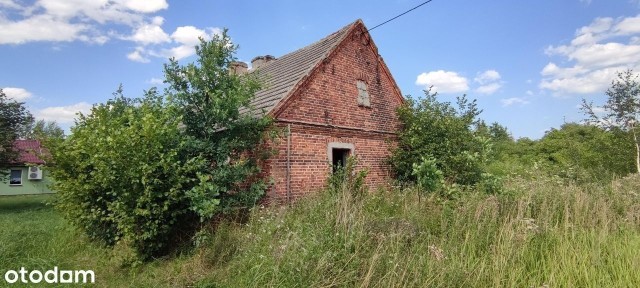 Karolinka, Margonin, chodzieski, wielkopolskie