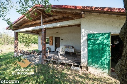 Świecie, świecki, kujawsko-pomorskie