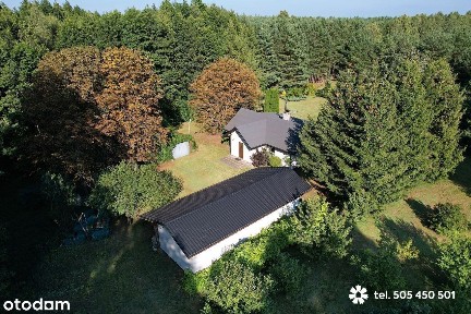 Siedlisko w lesie, działka 0,99 ha, malownicza okolica,cisza,natura