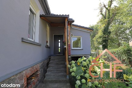 Pół domu na dużej działce - Wilenko