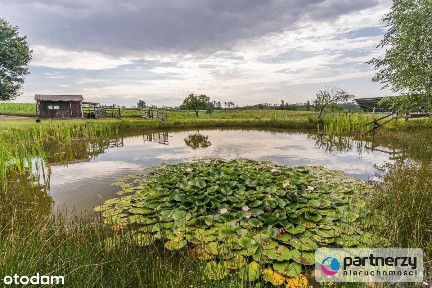 Gospodarstwo agroturystyczne na Kaszubach