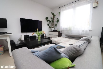 Śródmieście, Gorzów Wielkopolski, lubuskie