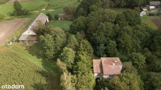 Jasienica, Ostrów Mazowiecka, ostrowski, mazowieckie